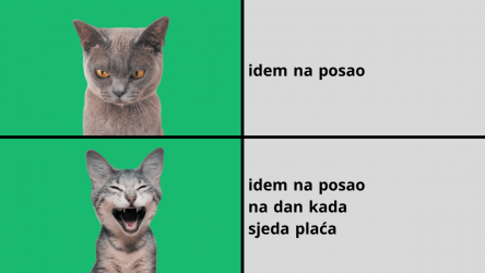 Idem na posao po plaću