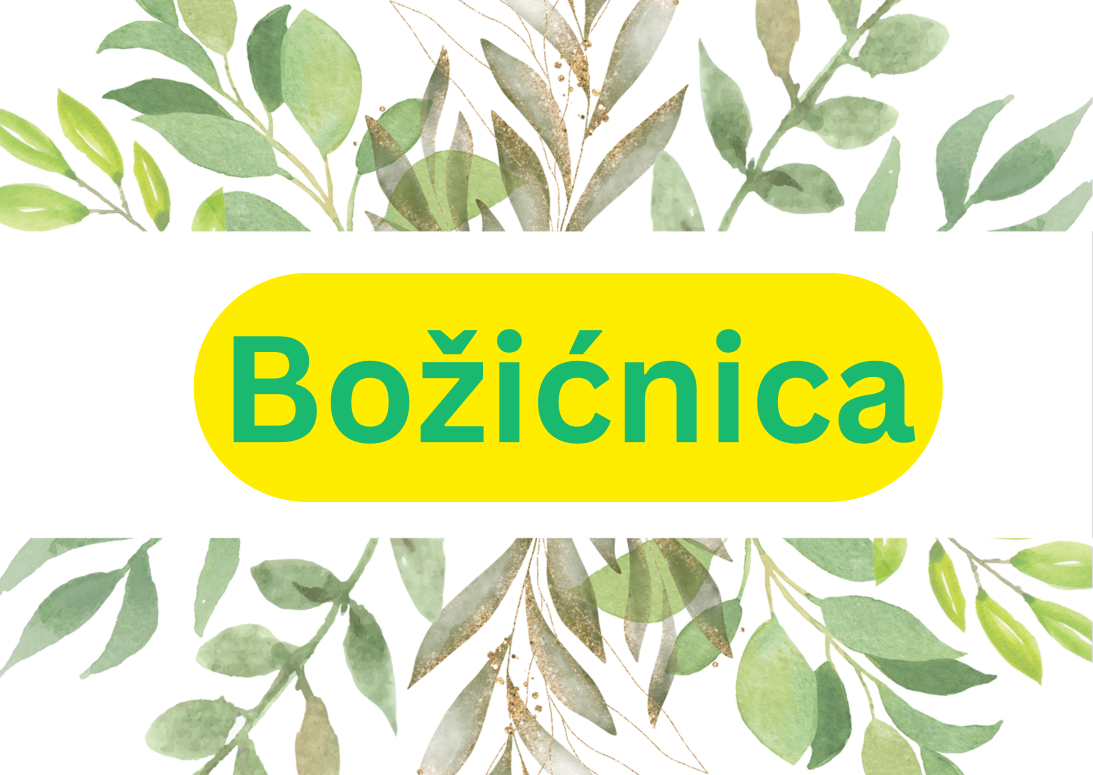  Božićnica