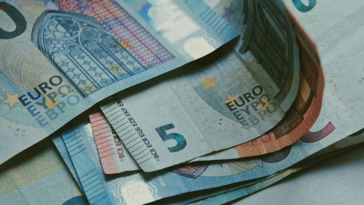 Euro, plaća