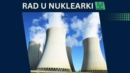 Homer Simpson, rad u nuklearki, nuklearna elektrana