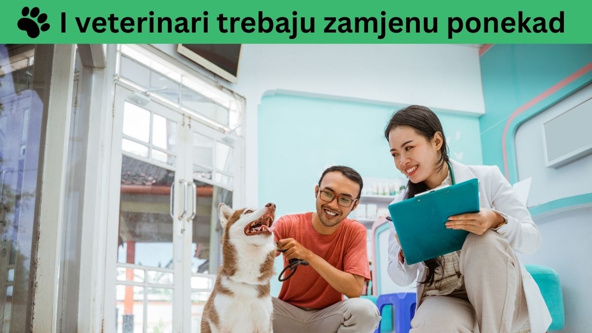 Veterinar, zamjena