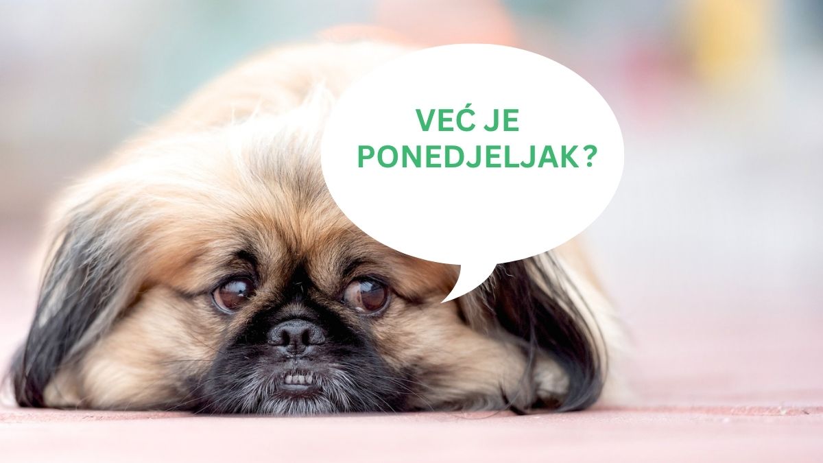 Ponedjeljak i odlazak na posao: neprijatelj ili prilika za novi početak?