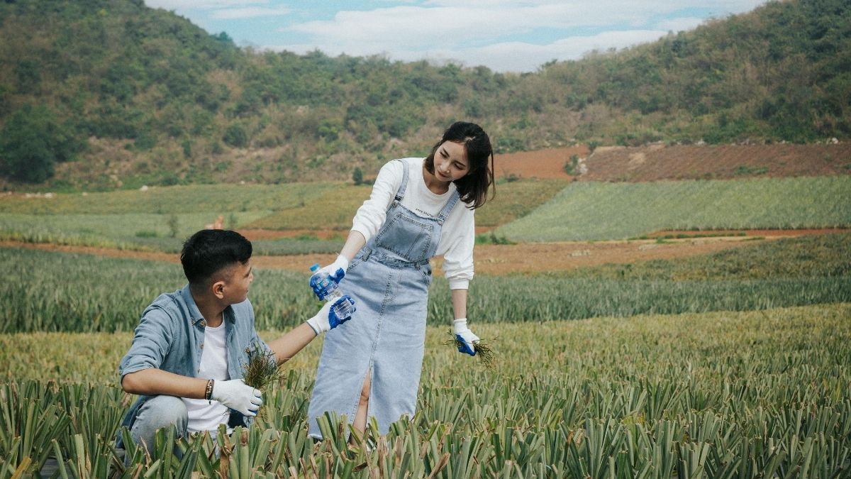 Radnici u poljoprivredi Pexels