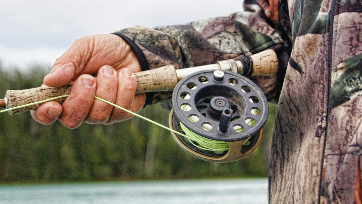 Ribič, ribar, lov ribe, ribolostvo, poljoprivreda Pexels