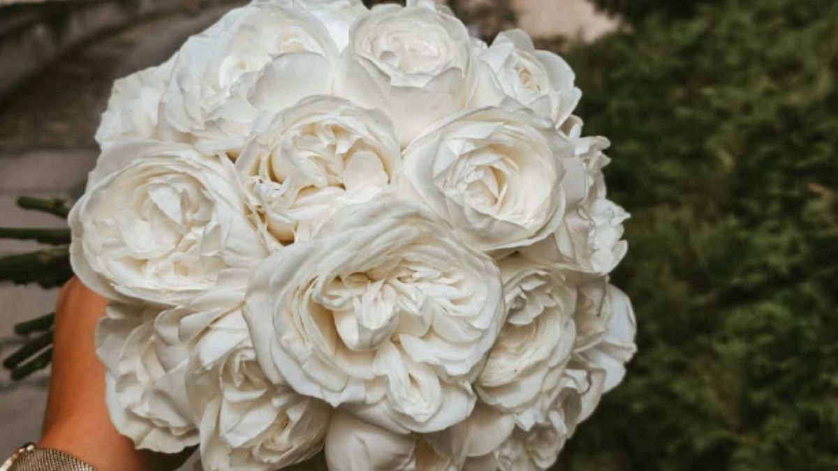 Aranžmani, buketi, AK Flowers