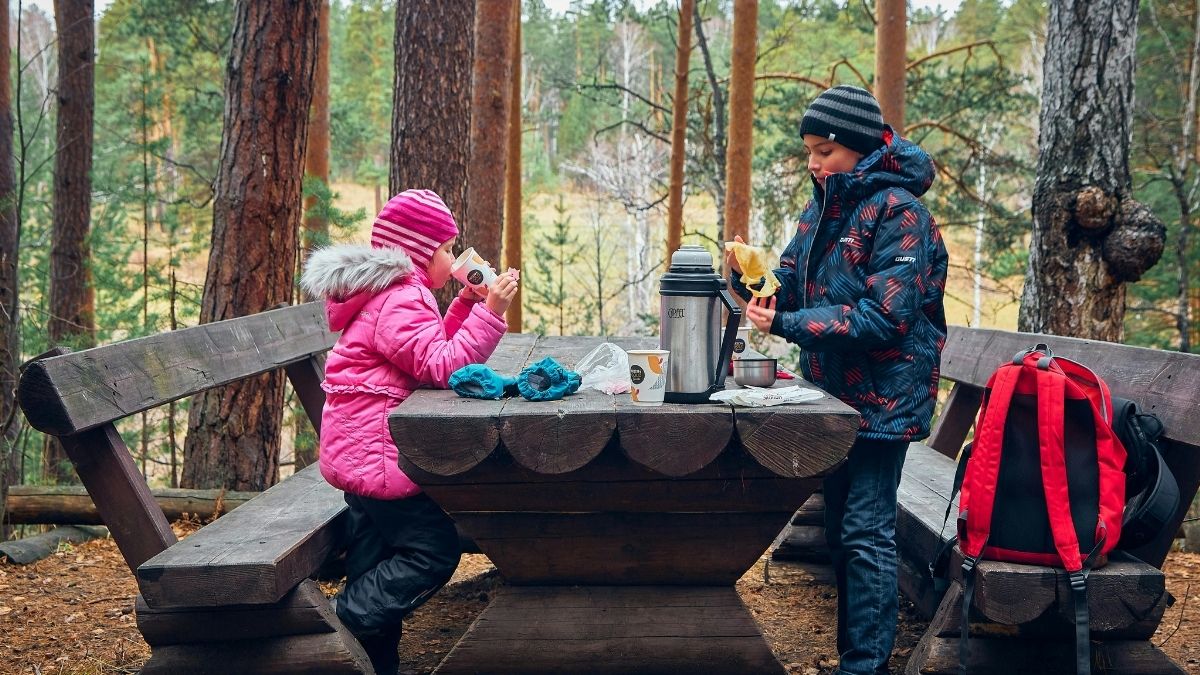 Kampiranje, šuma, zima Pexels