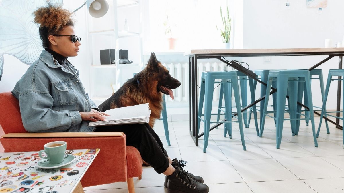 Slijepa osoba, čitanje, posao, rad, samozapošljavanje, pas vodič Pexels