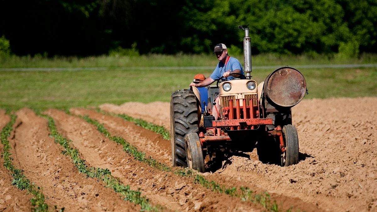 Rad na polju, poljoprivreda Pexels
