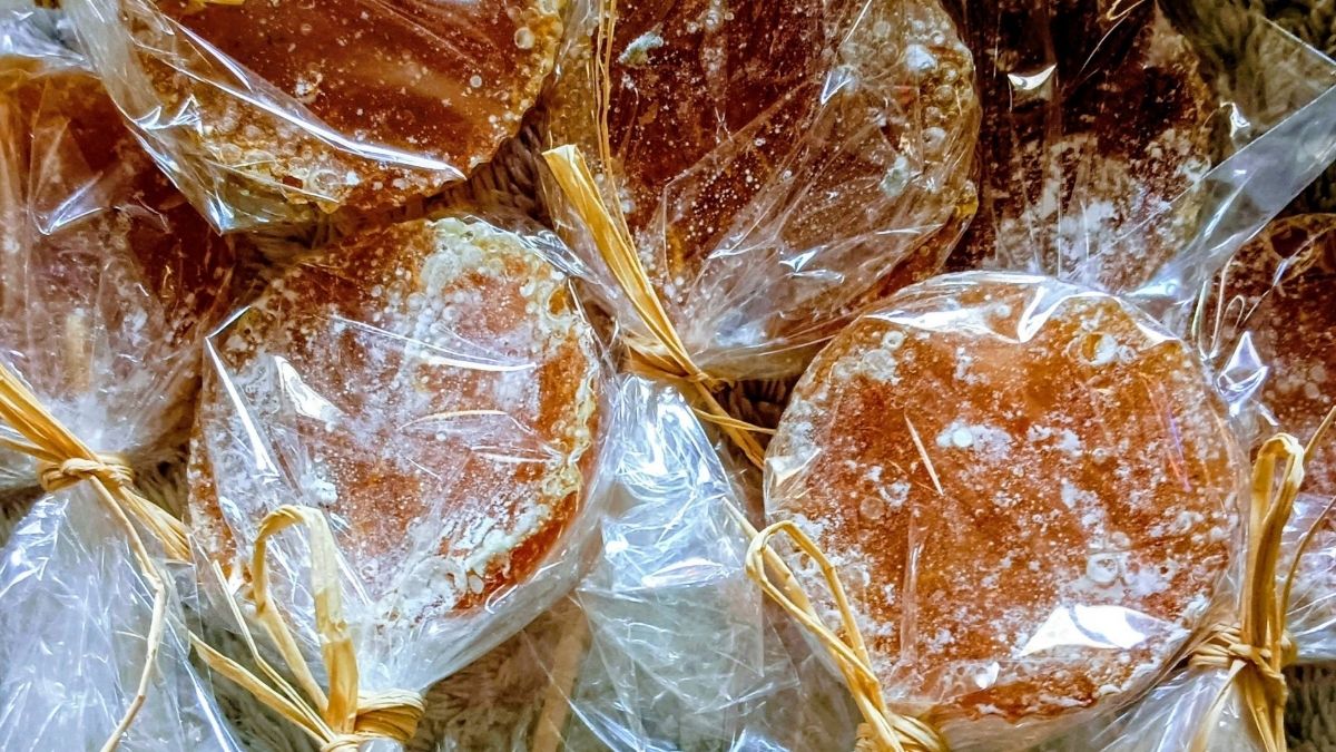 Imunolize, lizalice, imunitet Privatna arhiva