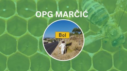 OPG Marčić 2