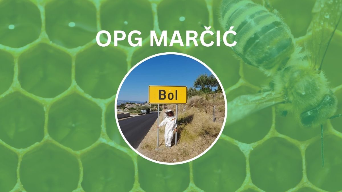 Brač, pčele i posao savršen su spoj