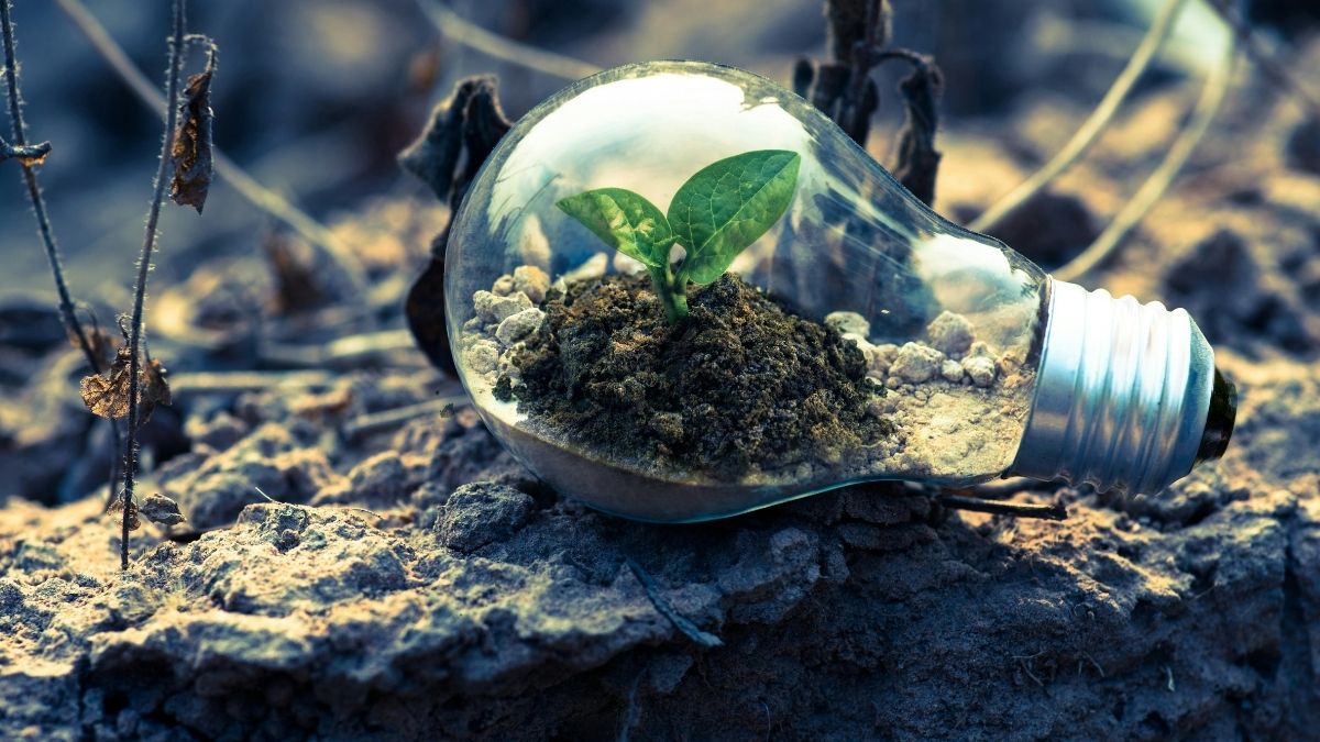 Zeleni poslovi, očuvanje prirode, ekologija Pexels