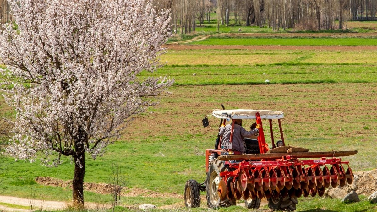 Traktor, proljeće, rad Pexels